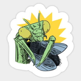 Praying Mantis Eating Fly Funny Insect Quotes Sticker